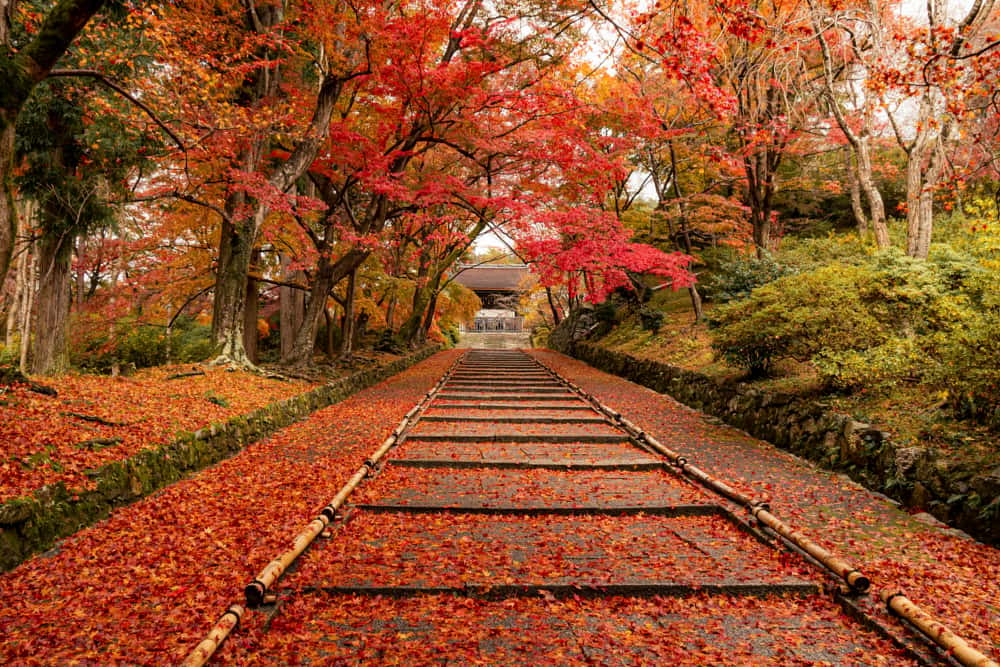 Central Japan, Tateyama & Shirakawa-go 5-Day Tour